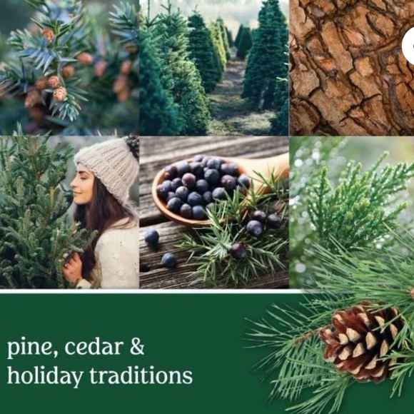 NWT- Yankee Candle Balsam & Cedar Small Tumbler Scented Candle - Picture 5 of 5